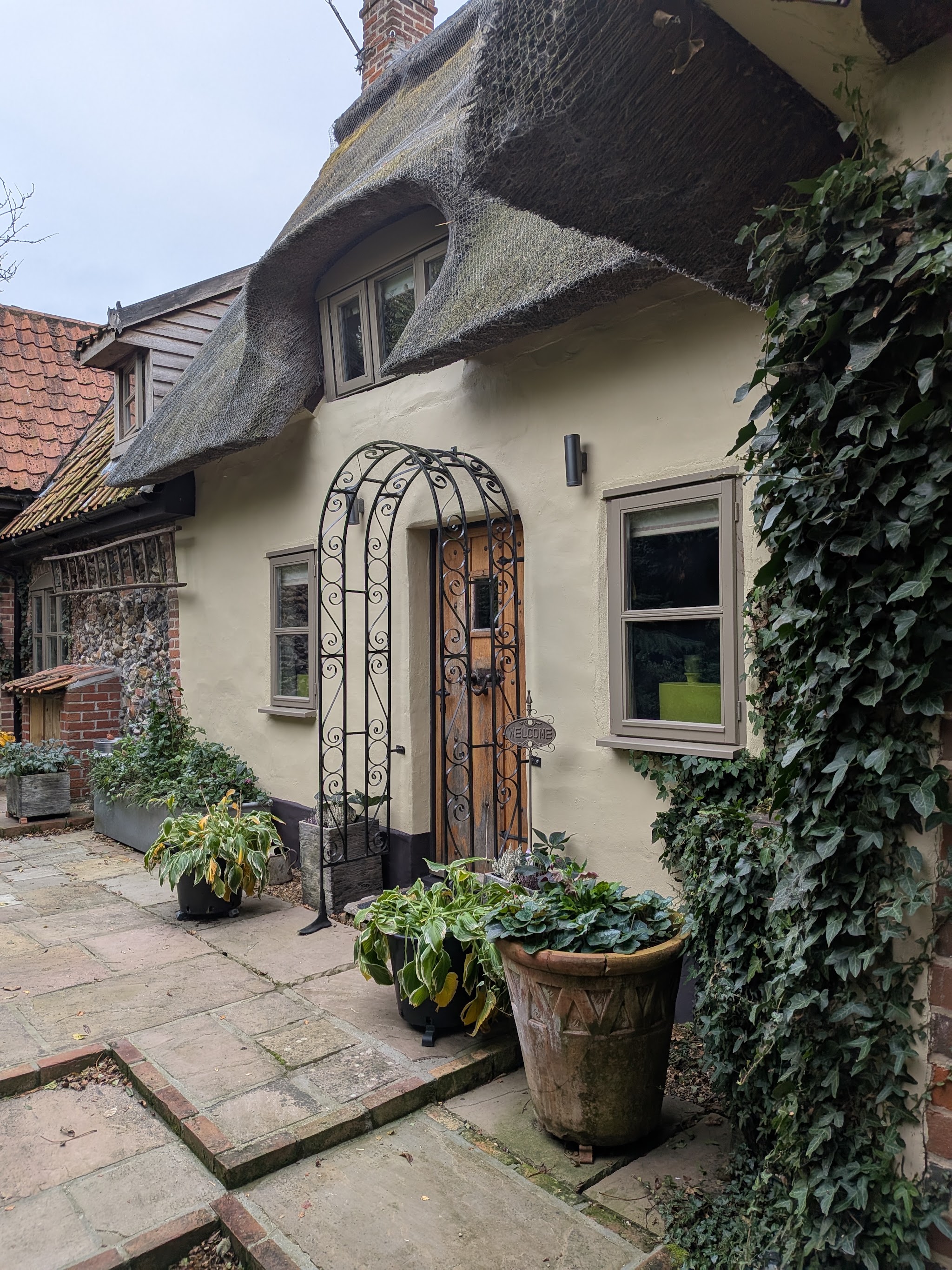 Thatched cottage with cream render, ivy and a planted patio